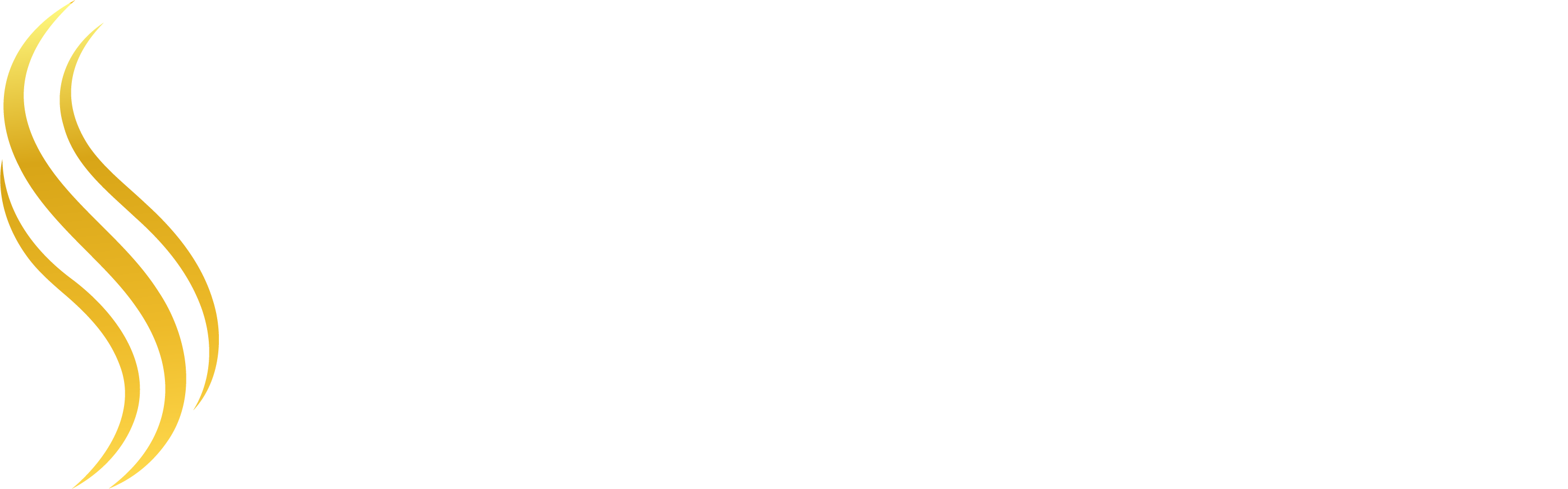 Salon Spa Sites